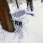 Fuxbau * Wohlau