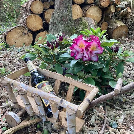 Fuxbau Holiday home *