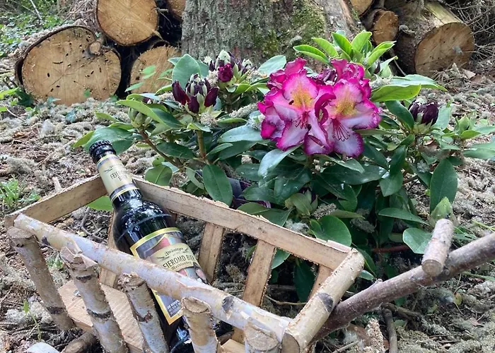 Fuxbau Holiday home *