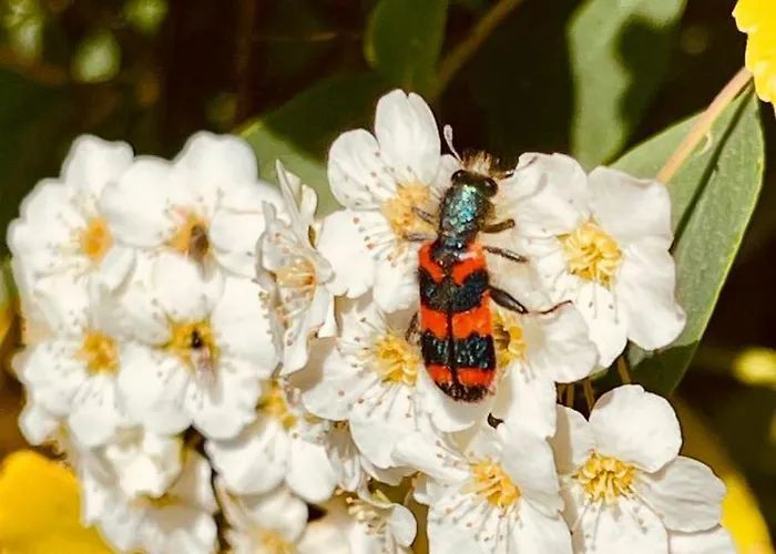 Fuxbau 度假居 Wohlau