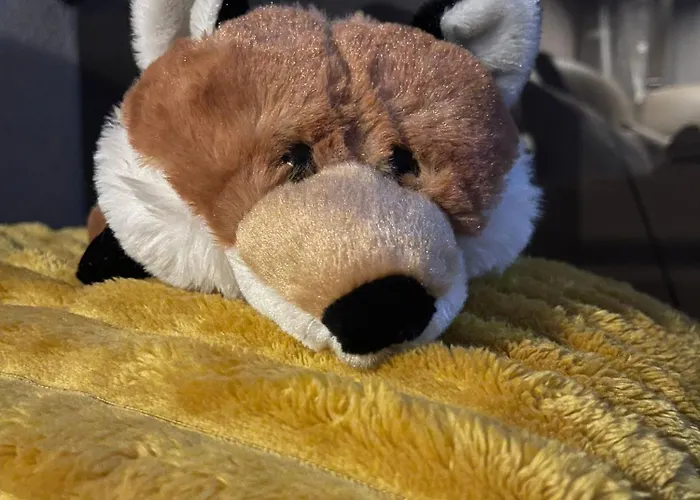 度假居 Fuxbau Wohlau